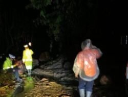 Jalan Lintas Pagar Alam-Lahat Tertutup Longsor, Arus Lalu Lintas Macet!