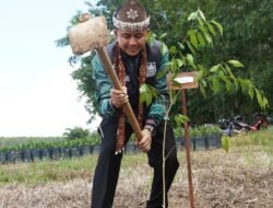 Pohon Gaharu Didaulat Menjadi Ikon Baru Sumatera Selatan