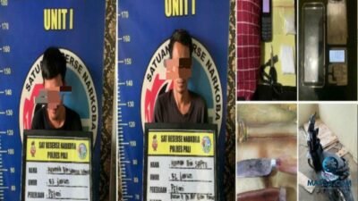 Kurir Narkoba Diringkus di Kebun Sawit, Sabu 10 Gram Jadi Barang Bukti