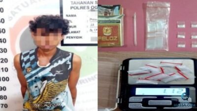 Pengedar Sabu di Pedamaran Timur Diciduk Polisi, 9 Paket Sabu Diamankan!