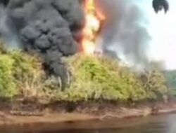 Viral! Sumur Minyak Ilegal Terbakar di Sungai Dawas-Parung