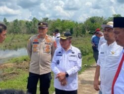 Wabup Tinjau Jembatan Putus di Desa Karang Agung