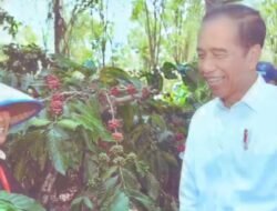 Jokowi Sambangi Lampung Barat, Fokus pada Pelayanan Kesehatan dan Perkebunan Kopi