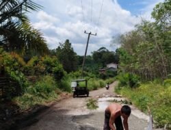 Swadaya di Tengah Keterbatasan: Warga Desa Pajar Bakti Perbaiki Jalan Rusak dengan Patungan