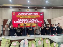 Operasi Senyap Polres Empat Lawang bersama Polda Sumsel berhasil mengungkap ladang ganja seluas 3 hektar