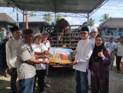 Melalui Pemerintah Kab Empat Lawang”Presiden Salurkan Bantuan Sapi Kurban untuk Warga Empat Lawang