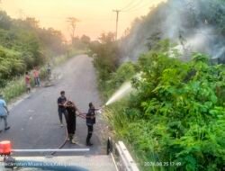 Karhutla Jagaraga Berhasil Dipadamkan Damkarmat