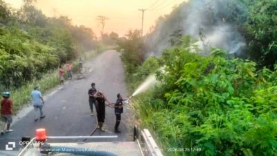Karhutla Jagaraga Berhasil Dipadamkan Damkarmat