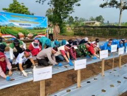 Sinergi Pemerintah dan Kapolres Empat Lawang Tanam Bawang Putih Seluas 10H, Mendukung Kemandirian Pangan Daerah