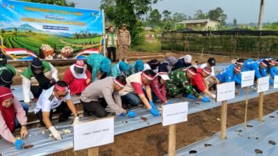 Sinergi Pemerintah dan Kapolres Empat Lawang Tanam Bawang Putih Seluas 10H, Mendukung Kemandirian Pangan Daerah