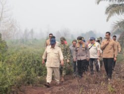 Prabowo Tegaskan Korporasi yang Terbukti Sengaja Bakar Hutan Akan Ditindak
