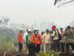 Dapat Laporan Kebakaran Hutan Sumsel, Prabowo Tambah Helikopter Water Bombing untuk Percepat Penanganan Karhutla Sumsel