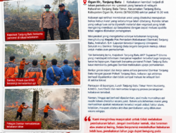 Api Lahap Lahan Bekas Kebun Karet di Wilayah Tanjung Batu Timur, Damkar dan Polisi Bergerak Cepat